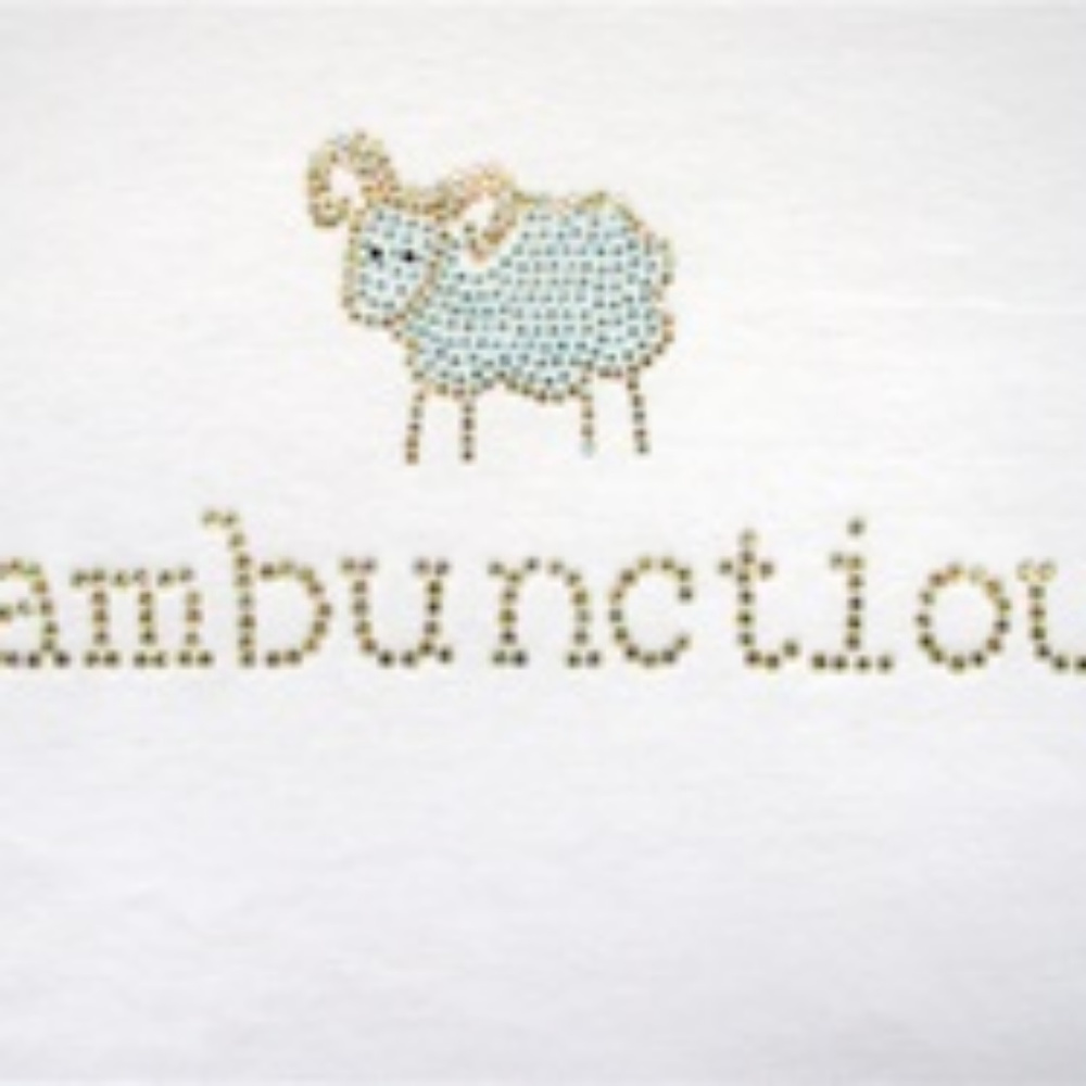 Zodiac, Aries "Rambunctious" t-shirt, NWT - Picture 2 of 3